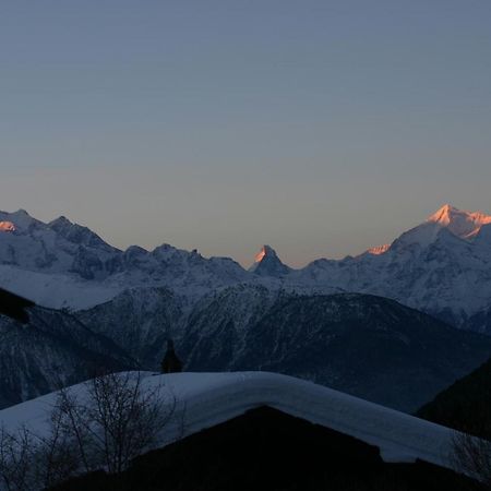 Vila Chalet Alpina Riederalp Exteriér fotografie