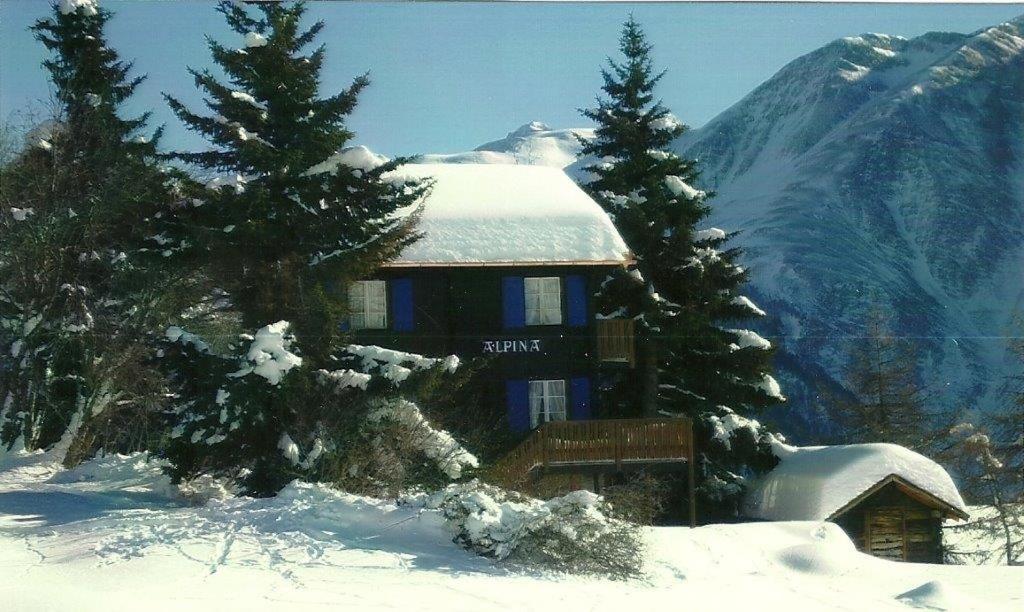 Vila Chalet Alpina Riederalp Exteriér fotografie