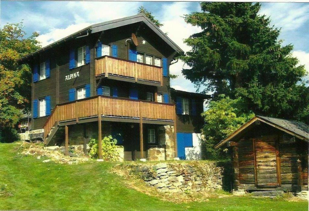 Vila Chalet Alpina Riederalp Exteriér fotografie