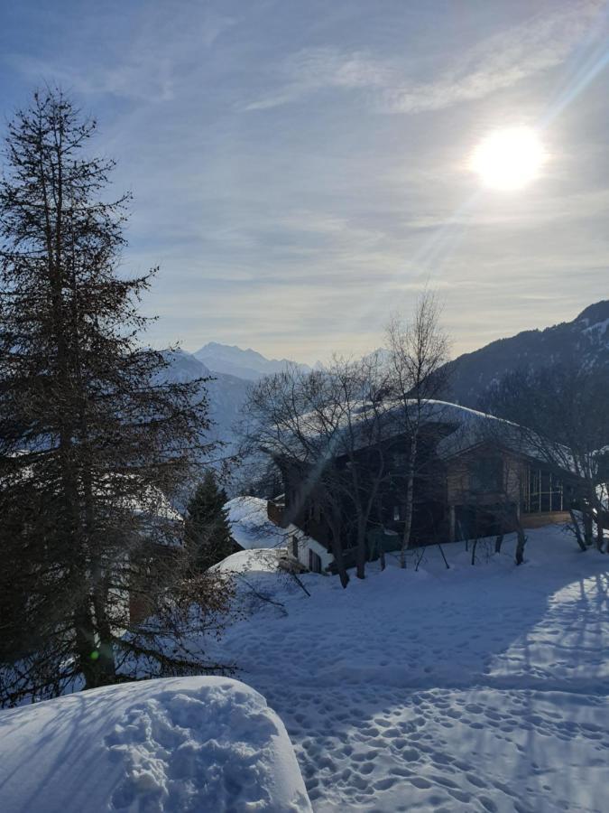 Vila Chalet Alpina Riederalp Exteriér fotografie